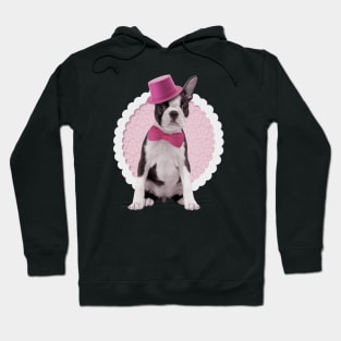 Boston Terrier dog Hoodie